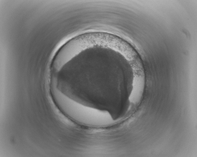 X0000115711522200911251845