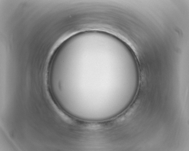 X0000115711525200911251845