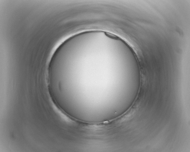 X0000115711527200911251845