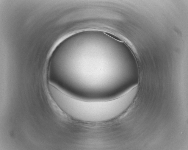 X0000115711530200911251845