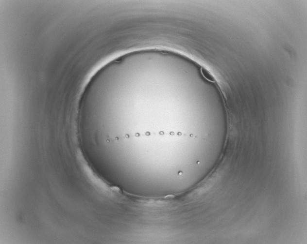 X0000115711534200911251845