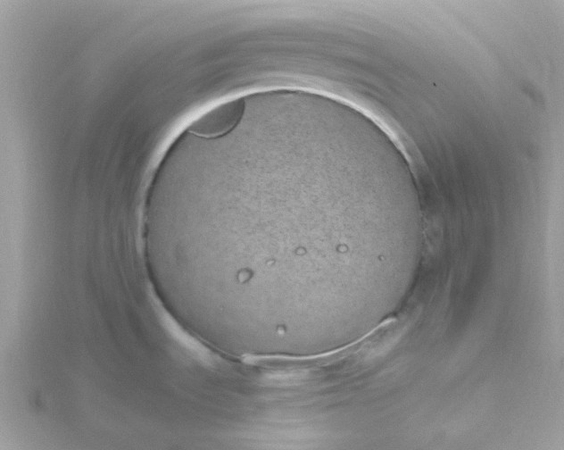 X0000115711535200911251845