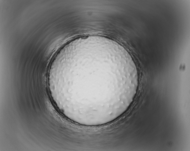 X0000115710002200912031538