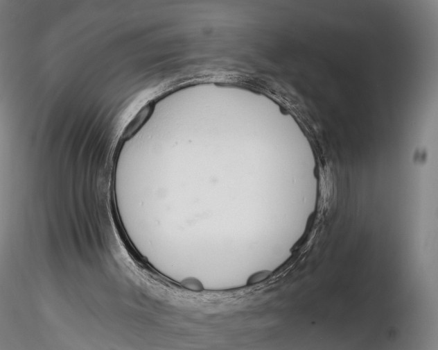 X0000115710003200912031538