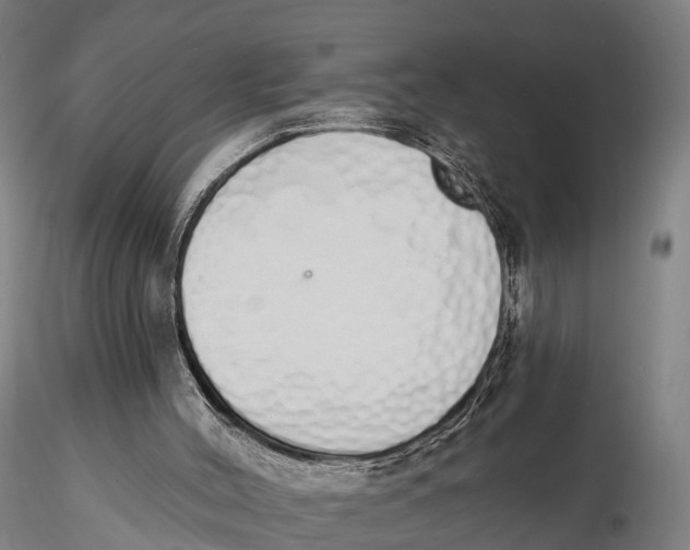 X0000115710004200912031538