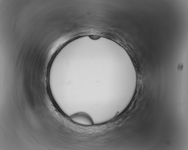 X0000115710006200912031538