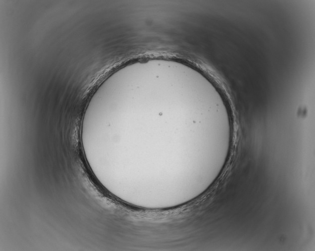 X0000115710009200912031538