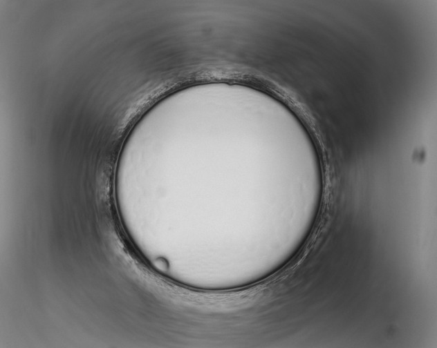 X0000115710010200912031538