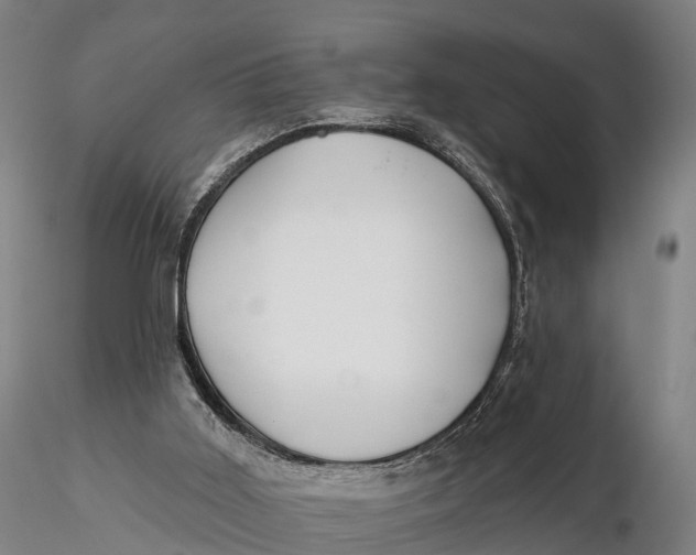 X0000115710011200912031538