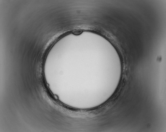 X0000115710012200912031538