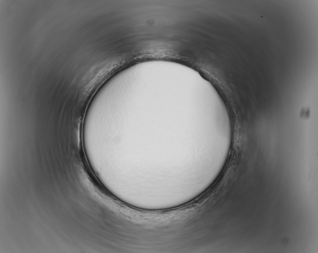 X0000115710014200912031538