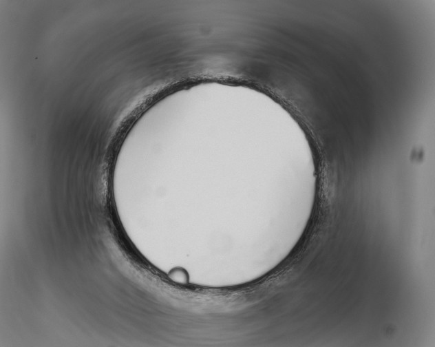 X0000115710016200912031538