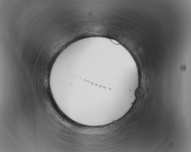 X0000115710017200912031538