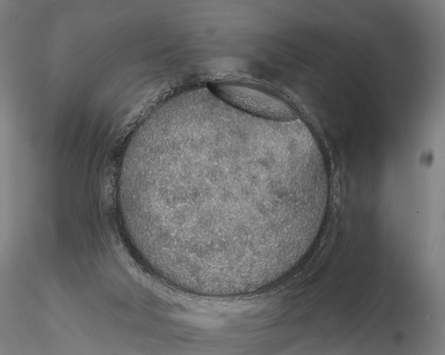 X0000115710018200912031538