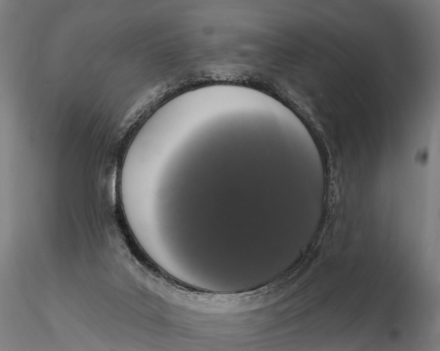 X0000115710019200912031538