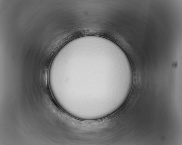 X0000115710022200912031538