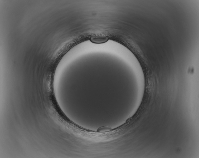 X0000115710023200912031538