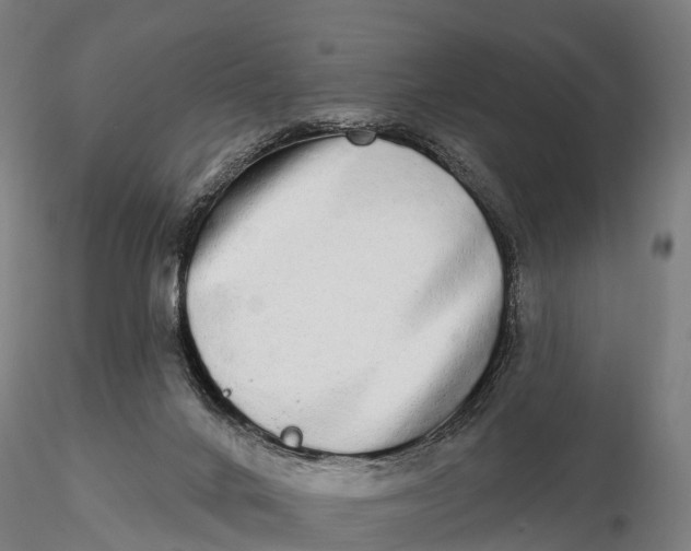 X0000115710024200912031538