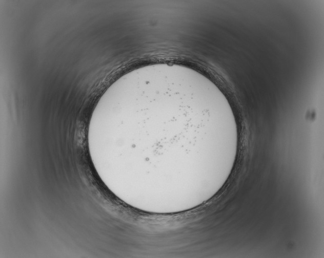 X0000115710025200912031538