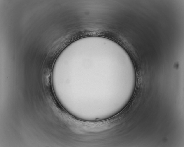 X0000115710026200912031538