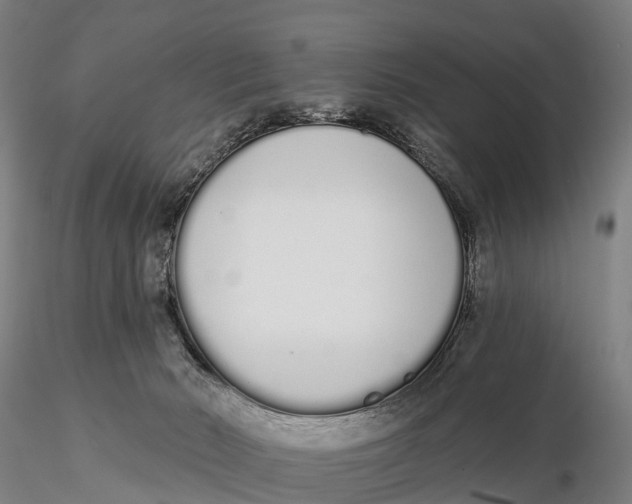 X0000115710030200912031538