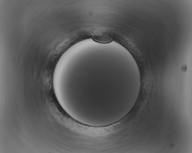 X0000115710031200912031538