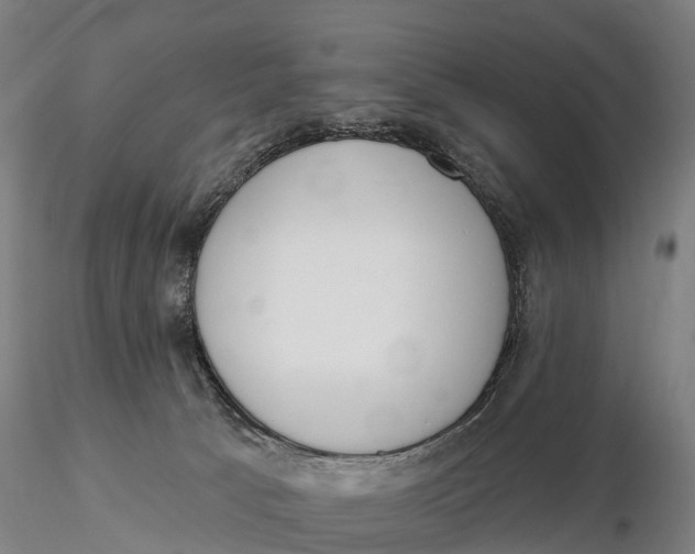 X0000115710033200912031538