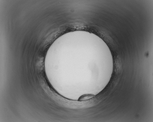 X0000115710034200912031538