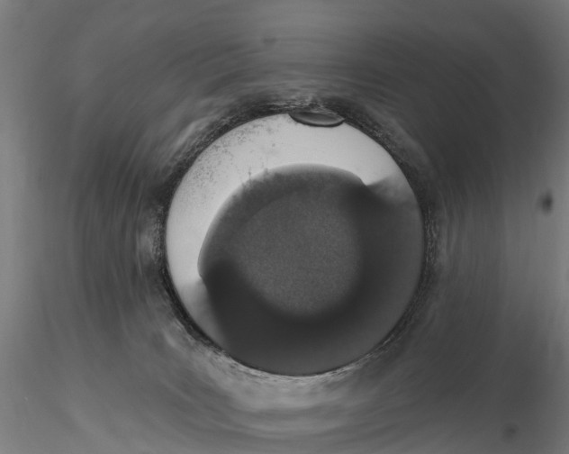 X0000115710035200912031538