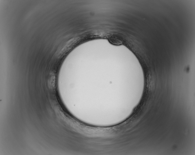 X0000115710036200912031538