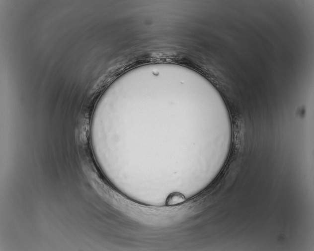 X0000115710038200912031538