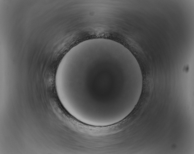 X0000115710039200912031538