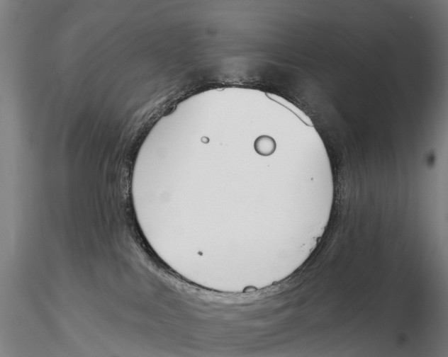 X0000115710043200912031538