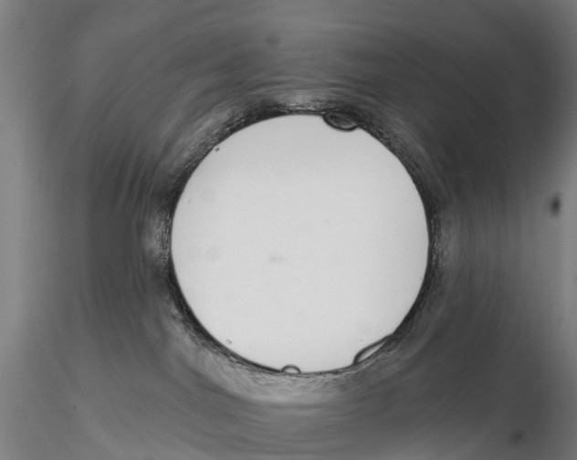 X0000115710044200912031538