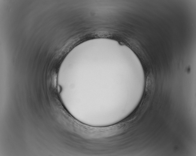 X0000115710046200912031538