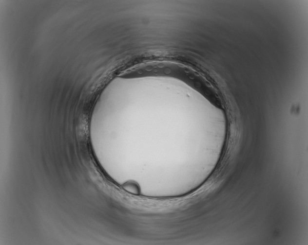 X0000115710048200912031538