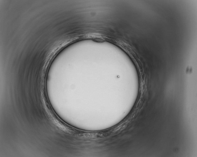 X0000115710049200912031537