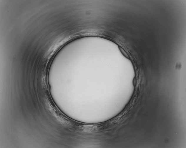 X0000115710050200912031537