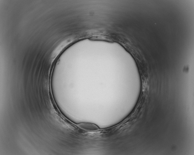 X0000115710052200912031537