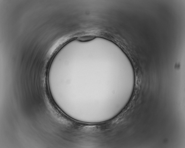 X0000115710054200912031537