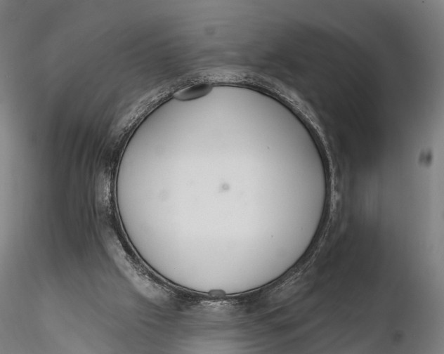 X0000115710057200912031537