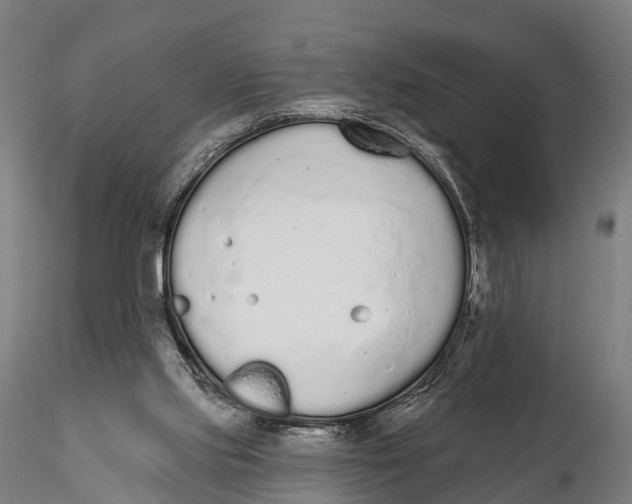 X0000115710061200912031537