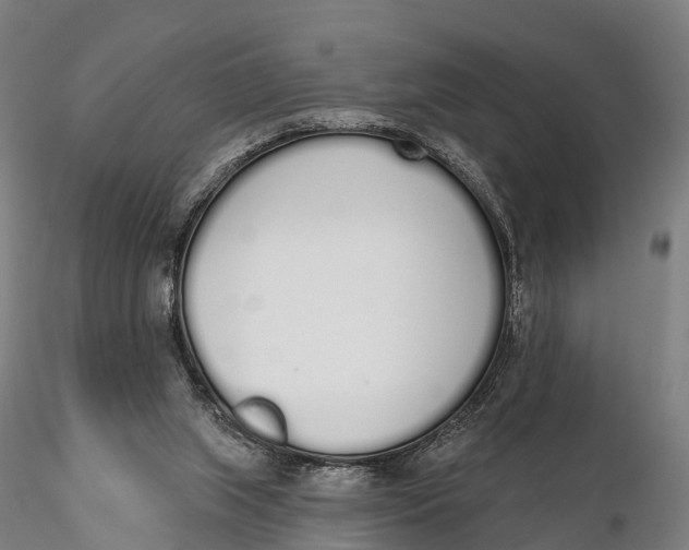 X0000115710063200912031537