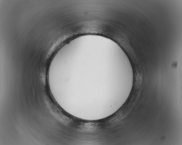 X0000115710064200912031537