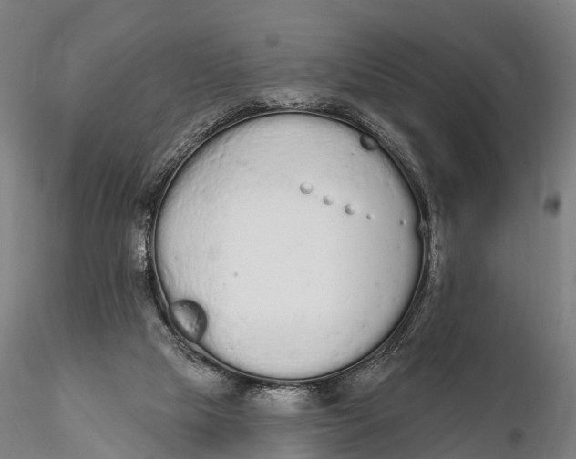 X0000115710065200912031537