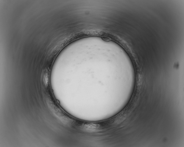 X0000115710069200912031537