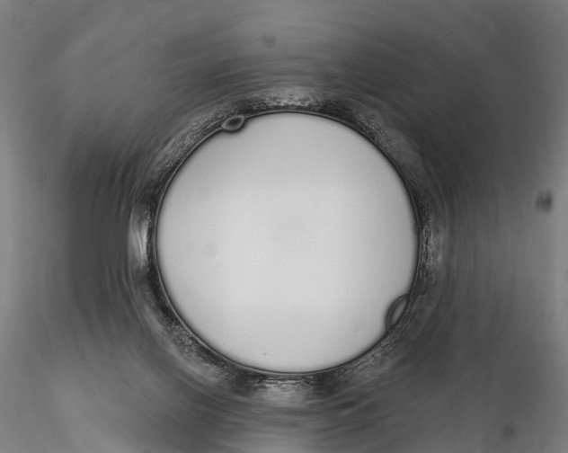 X0000115710070200912031537