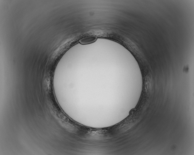 X0000115710072200912031537