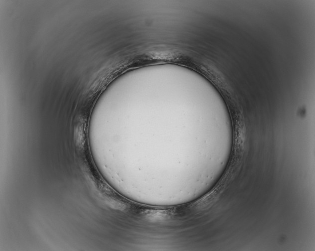 X0000115710074200912031537