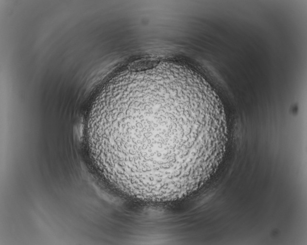 X0000115710076200912031537